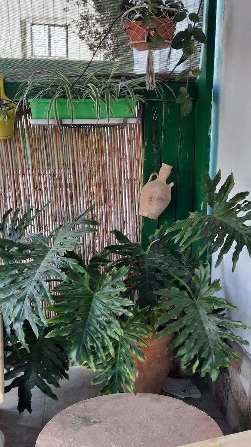 הבית הירוק - Green House アラド エクステリア 写真